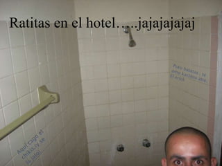 Ratitas en el hotel…..jajajajajajPuro balatas , te amo karlitos atte. El erickAquí cago el chikis.(y se la jalo)