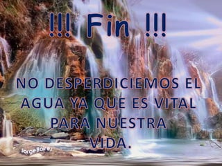!!! Fin !!!NO DESPERDICIEMOS EL AGUA YA QUE ES VITAL PARA NUESTRA VIDA.