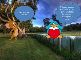 Me podrías
decir?
El despertador en
el pasado era un
gallo que todas
las mañanas
madrugaba a
cantar
 