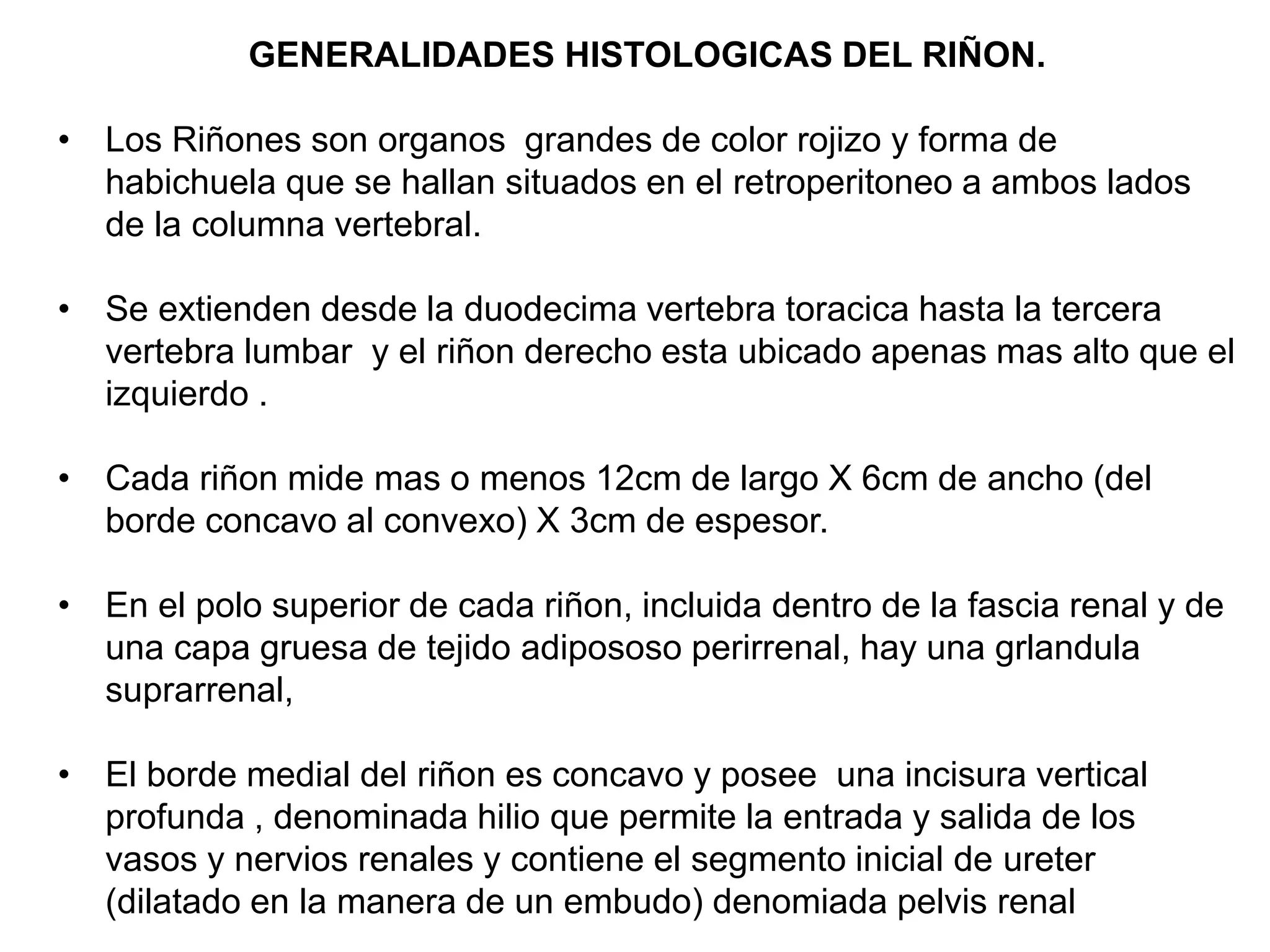 Histologia de Riñon | PPTX