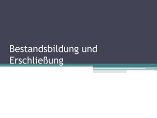 Bestandsbildung und
Erschließung

 