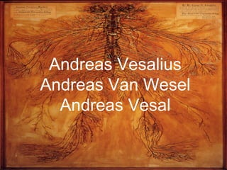 Andreas Vesalius Andreas Van Wesel Andreas Vesal 