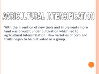 AGRICULTURAL INTENSIFICATION With the invention of new tools and implements more land was brought under cultivation which led to agricultural intensification .New varieties of corn and fruits began to be cultivated as a group. 
