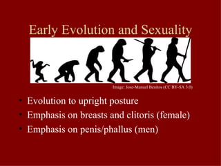 Early History of Human Sexuality | PPT