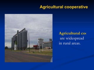 History of the Cooperative Movement | PPT
