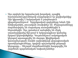    Այս օրդերն իր նրբաճաշակ խոյակով, սլացիկ
    համամասնություններով տարբերվում էր դորիականից:
    Այն կիրառվել է հսկայական և բազմասյուն
    դիպտերոսներում: Կորընթական օրդերները նման էին
    հոնիականին, բուսական մոտիվներ են: Քարարձանները
    մարմնավորել են մարտնչող աստվածներին և
    հերոսներին: Այս շրձանում ստեղծվել են մերկ
    տղամարդկանց (կուրոս) և երկարազգեստ կանանց
    (կորա) կերտվածքներ: Կուրոսներում ամբողջական
    կերպով արտացոլվել են մարդու ֆիզիկական
    կատարելության մասին արխաիկայի գեղագիտական
    պատկերացումները, պոլիսի պաշտպանի քաջարի
    կերպարը... Անշարժ մարմնաձևերին հաղորդվել են
    շարժման պայմանական նախանշաններ:
 