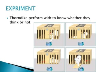  Thorndike perform with to know whether they
think or not.
 