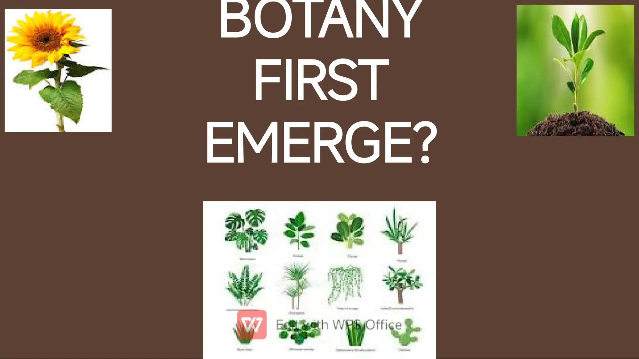 BOTANY
FIRST
EMERGE?
 