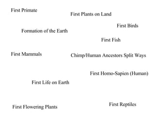 Formation of the Earth First Life on Earth First Fish First Plants on Land First Reptiles First Mammals First Birds First Flowering Plants First Primate Chimp/Human Ancestors Split Ways First Homo-Sapien (Human) 