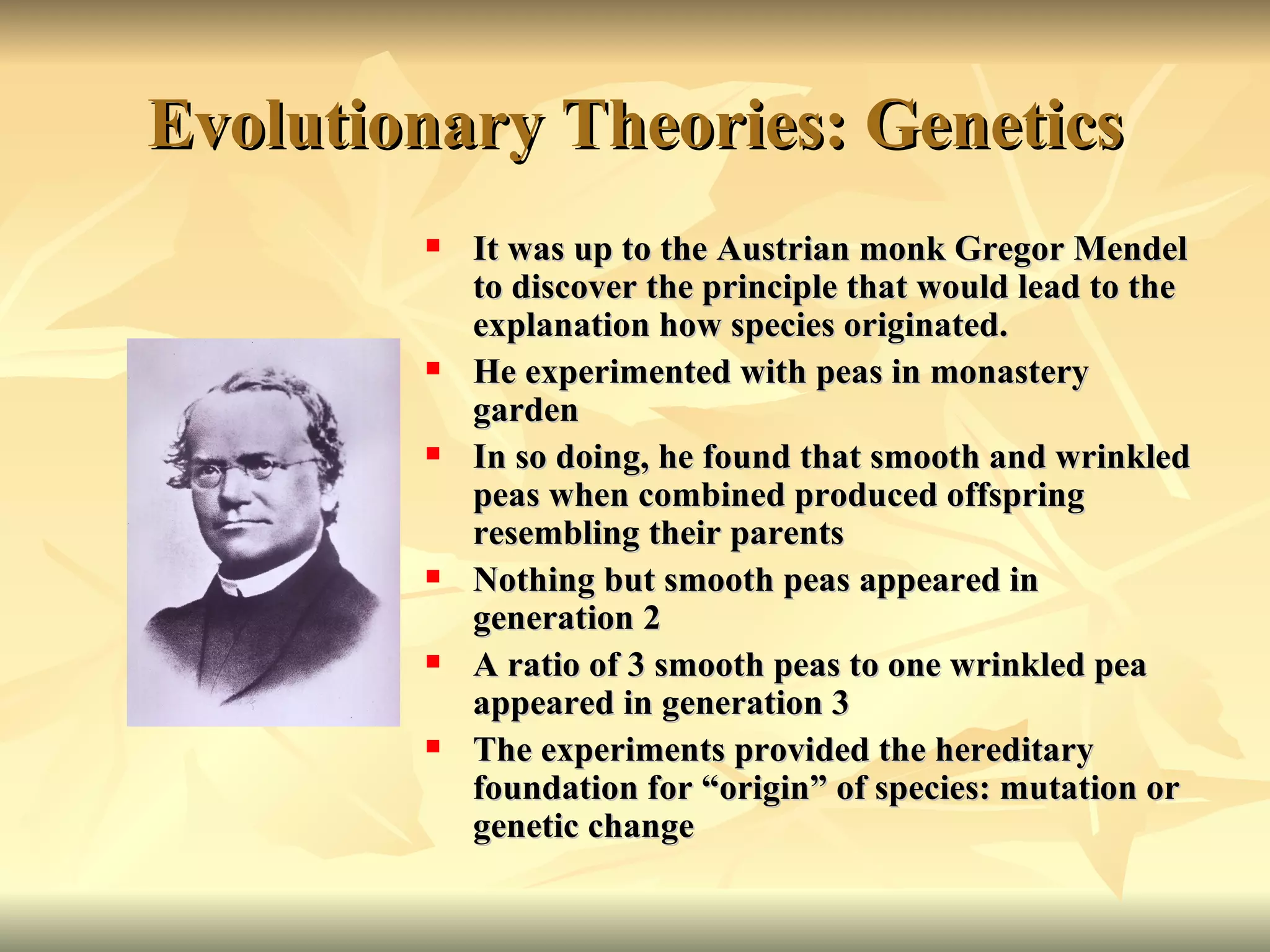 Evolutionary Theories: Genetics It was up to the Austrian monk Gregor Mendel to discover the principle that would lead to the explanation how species originated. He experimented with peas in monastery garden In so doing, he found that smooth and wrinkled peas when combined produced offspring resembling their parents Nothing but smooth peas appeared in generation 2 A ratio of 3 smooth peas to one wrinkled pea appeared in generation 3 The experiments provided the hereditary foundation for “origin” of species: mutation or genetic change 