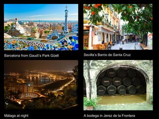 Barcelona from Gaudí’s Park Güell Sevilla’s Barrio de Santa Cruz
Málaga at night A bodega in Jerez de la Frontera
 