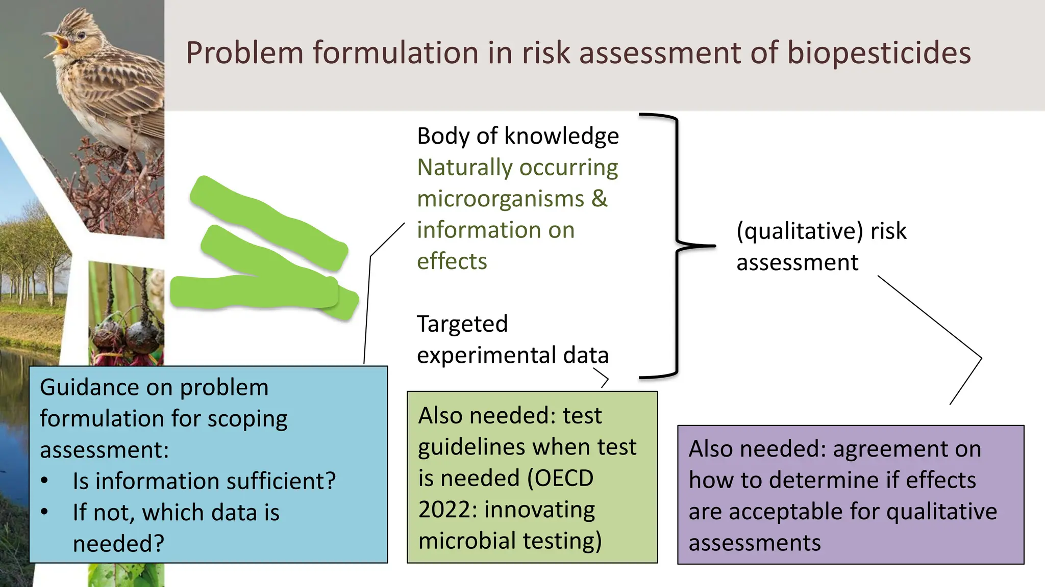 Problem Formulation Risk Assessment History, principles and use for biopesticide risk assessment: Boet ...