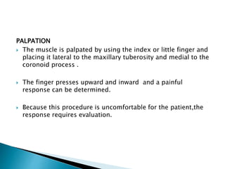 PALPATION 
 The muscle is palpated by using the index or little finger and 
placing it lateral to the maxillary tuberosity and medial to the 
coronoid process . 
 The finger presses upward and inward and a painful 
response can be determined. 
 Because this procedure is uncomfortable for the patient,the 
response requires evaluation. 
 