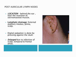  LOCATION – behind the ear , 
near the insertion of 
sternomastoid muscle. 
 Lymphatic drainage: External 
auditory meatus, pinna, 
scalp. 
 Digital palpation is done by 
pressing against the skull. 
 Enlarged due to infection of 
scalp, temporal & frontal 
areas. 
 
