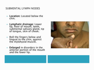  Location: Located below the 
chin. 
 Lymphatic drainage: Lower 
lip, floor of mouth, teeth, 
submental salivary gland, tip 
of tongue, skin of cheek. 
 Roll the fingers below and 
lingual to the chin, against 
the mylohyoid muscle. 
 Enlarged in disorders in the 
anterior portion of the mouth 
and the lower lip. 
 