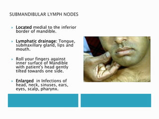  Located medial to the inferior 
border of mandible. 
 Lymphatic drainage: Tongue, 
submaxillary gland, lips and 
mouth. 
 Roll your fingers against 
inner surface of Mandible 
with patient's head gently 
tilted towards one side. 
 Enlarged in Infections of 
head, neck, sinuses, ears, 
eyes, scalp, pharynx. 
 