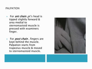  For ant chain ,pt’s head is 
tipped slightly forward & 
area medial to 
sternomastoid muscle is 
pressed with examiners 
finger. 
 For post chain , fingers are 
kept behind the muscle. 
Palpation starts from 
trapezius muscle & moved 
to sternomastoid muscle. 
 