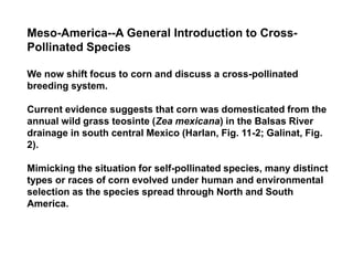 Meso-America--A General Introduction to Cross-
Pollinated Species
We now shift focus to corn and discuss a cross-pollinated
breeding system.
Current evidence suggests that corn was domesticated from the
annual wild grass teosinte (Zea mexicana) in the Balsas River
drainage in south central Mexico (Harlan, Fig. 11-2; Galinat, Fig.
2).
Mimicking the situation for self-pollinated species, many distinct
types or races of corn evolved under human and environmental
selection as the species spread through North and South
America.
 