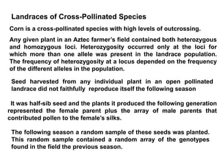Landraces of Cross-Pollinated Species
Corn is a cross-pollinated species with high levels of outcrossing.
Any given plant in an Aztec farmer’s field contained both heterozygous
and homozygous loci. Heterozygosity occurred only at the loci for
which more than one allele was present in the landrace population.
The frequency of heterozygosity at a locus depended on the frequency
of the different alleles in the population.
It was half-sib seed and the plants it produced the following generation
represented the female parent plus the array of male parents that
contributed pollen to the female’s silks.
The following season a random sample of these seeds was planted.
This random sample contained a random array of the genotypes
found in the field the previous season.
Seed harvested from any individual plant in an open pollinated
landrace did not faithfully reproduce itself the following season
 