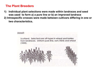 The Plant Breeders
1) Individual plant selections were made within landraces and seed
was used to form a) a pure line or b) an improved landrace
2) Intraspecific crosses were made between cultivars differing in one or
two characteristics.
 
