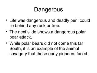 Dangerous 
• Life was dangerous and deadly peril could 
lie behind any rock or tree. 
• The next slide shows a dangerous polar 
bear attack. 
• While polar bears did not come this far 
South, it is an example of the animal 
savagery that these early pioneers faced. 
 