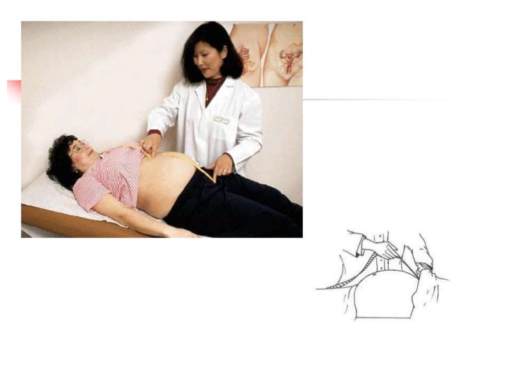 History and clinical examination in obstetrics