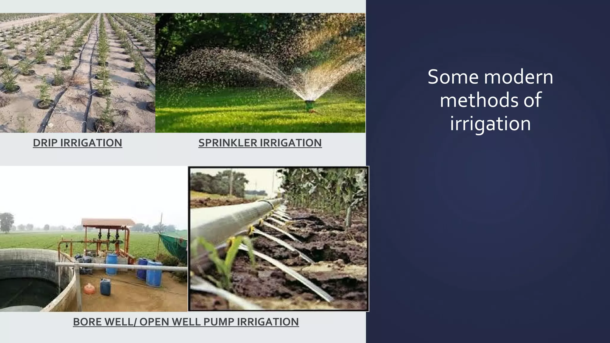 DRIP IRRIGATION SPRINKLER IRRIGATION 
BORE WELL/ OPEN WELL PUMP IRRIGATION 
Some modern 
methods of 
irrigation 
 