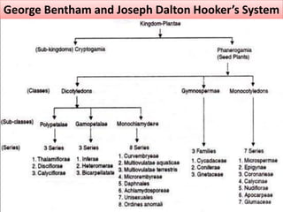 History and development of plant taxonomy | PPTX