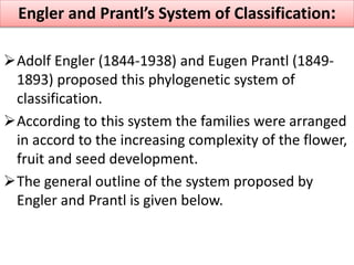 Adolf Engler (1844-1938) and Eugen Prantl (1849-
1893) proposed this phylogenetic system of
classification.
According to this system the families were arranged
in accord to the increasing complexity of the flower,
fruit and seed development.
The general outline of the system proposed by
Engler and Prantl is given below.
Engler and Prantl’s System of Classification:
 