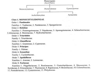 History and development of plant taxonomy | PPTX