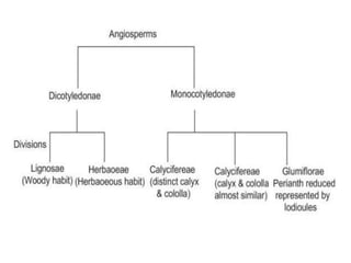 History and development of plant taxonomy | PPTX