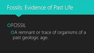 Fossils: Evidence of Past Life
FOSSIL
A remnant or trace of organisms of a
past geologic age.
 