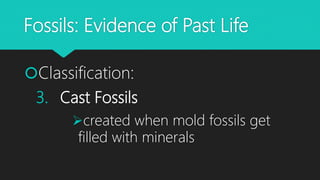 Fossils: Evidence of Past Life
Classification:
3. Cast Fossils
created when mold fossils get
filled with minerals
 