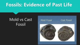 Mold vs Cast
Fossil
Fossils: Evidence of Past Life
 