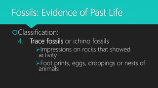Fossils: Evidence of Past Life
Classification:
4. Trace fossils or ichino fossils
Impressions on rocks that showed
activity
Foot prints, eggs, droppings or nests of
animals
 