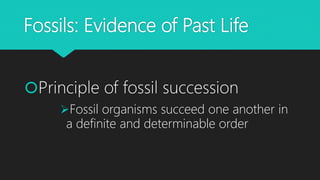 Fossils: Evidence of Past Life
Principle of fossil succession
Fossil organisms succeed one another in
a definite and determinable order
 
