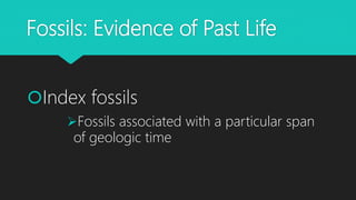 Fossils: Evidence of Past Life
Index fossils
Fossils associated with a particular span
of geologic time
 