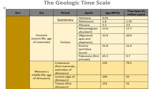 History and geologic time scales