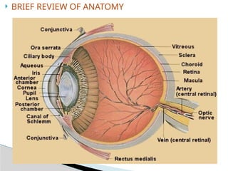 History and Physical assessment of patients with eye disorders and ...
