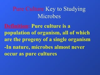 Pure Culture  Key to Studying Microbes Definition :  Pure culture is a population of organism, all of which are the progeny of a single organism -In nature, microbes almost never occur as pure cultures 