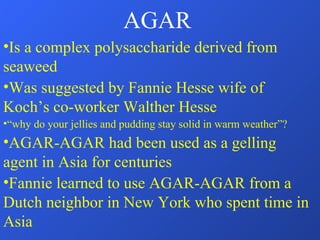 AGAR Is a complex polysaccharide derived from seaweed Was suggested by Fannie Hesse wife of Koch’s co-worker Walther Hesse “ why do your jellies and pudding stay solid in warm weather”? AGAR-AGAR had been used as a gelling agent in Asia for centuries Fannie learned to use AGAR-AGAR from a Dutch neighbor in New York who spent time in Asia 