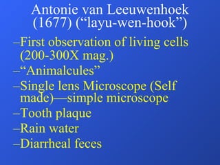 Antonie van Leeuwenhoek (1677) (“layu-wen-hook”) First observation of living cells (200-300X mag.) “ Animalcules” Single lens Microscope (Self made)—simple microscope Tooth plaque Rain water Diarrheal feces 