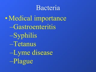 Bacteria Medical importance Gastroenteritis Syphilis Tetanus Lyme disease Plague 