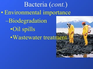 Bacteria ( cont. ) Environmental importance Biodegradation Oil spills Wastewater treatment 