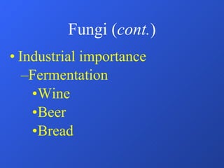 Fungi ( cont. ) Industrial importance Fermentation Wine Beer Bread 