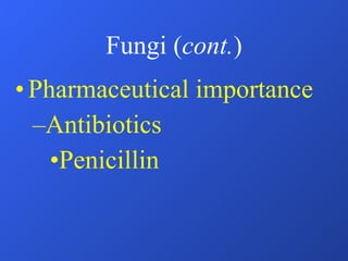 Fungi ( cont. ) Pharmaceutical importance Antibiotics Penicillin 