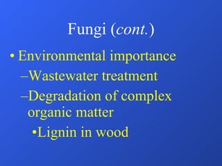 Fungi ( cont. ) Environmental importance Wastewater treatment Degradation of complex organic matter Lignin in wood 