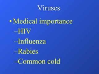 Viruses Medical importance HIV Influenza Rabies  Common cold 