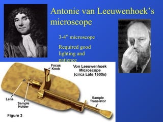 Antonie van Leeuwenhoek’s microscope 3-4” microscope Required good lighting and patience 