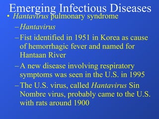 Hantavirus  pulmonary syndrome Hantavirus Fist identified in 1951 in Korea as cause of hemorrhagic fever and named for Hantaan River A new disease involving respiratory symptoms was seen in the U.S. in 1995 The U.S. virus, called  Hantavirus  Sin Nombre virus, probably came to the U.S. with rats around 1900 Emerging Infectious Diseases 